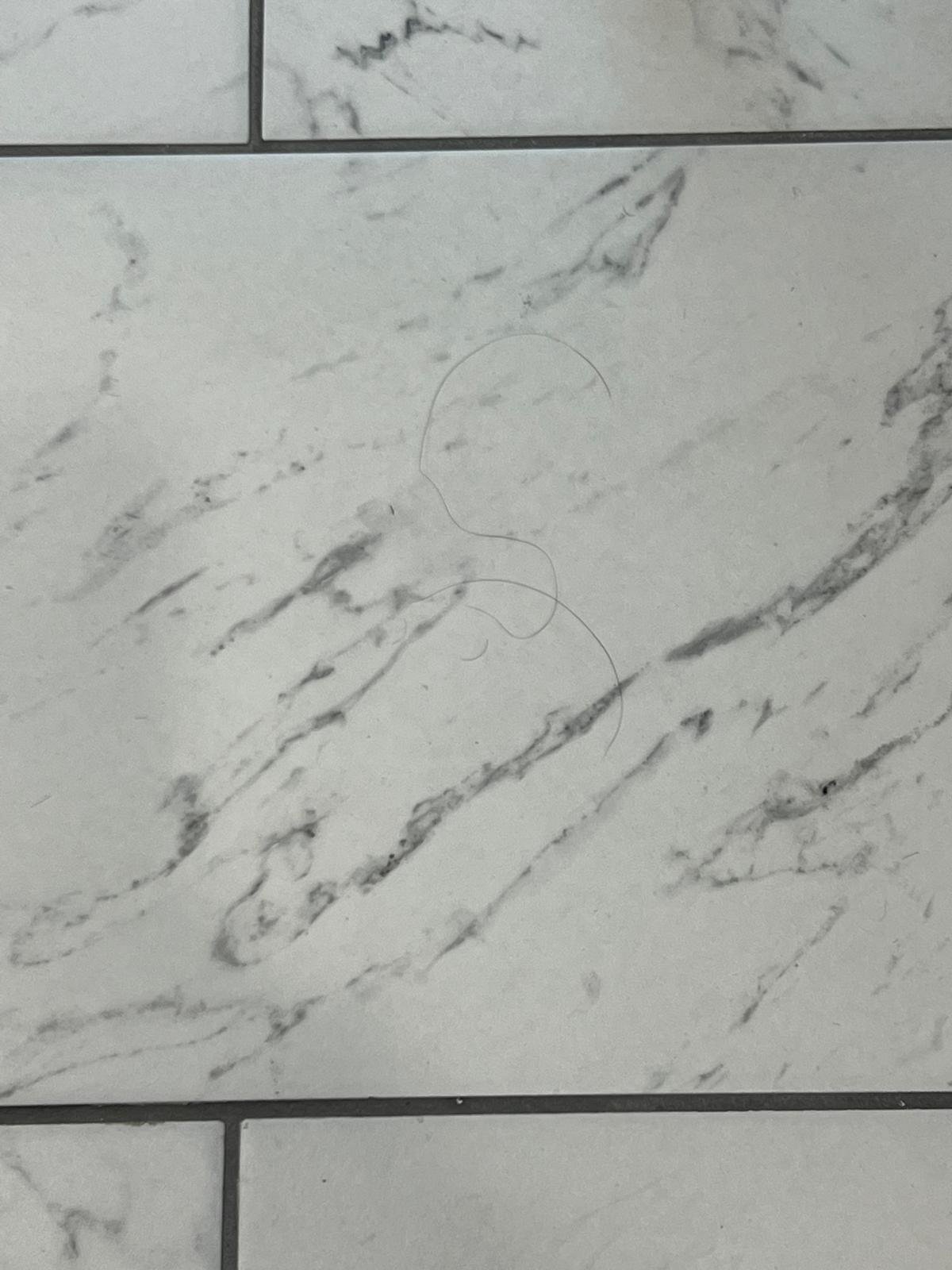 Professional Cleaning Result